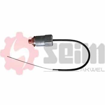 Unidad de control, tiempo de incandescencia