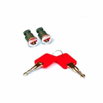 Juego de cerraduras de 2 piezas para portaequipajes Twinny Load, incluye 2 llaves