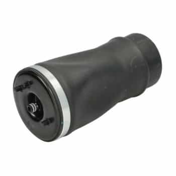 Suspensión neumática, chasis